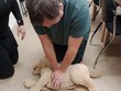 P. Šopa se sklání nad figurínou psa ležící na zemi a nacvičuje umělé dýchání v rámci první pomoci. Asistuje mu p. Wildmannová, DiS. (instruktorka)
